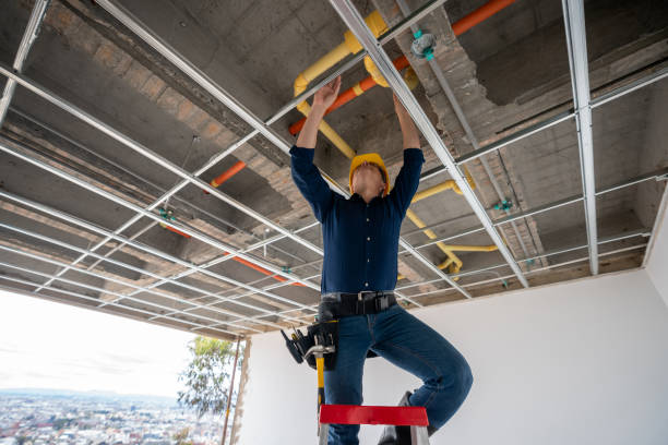 Best Plumbing Services Near Me  in Frankfort, IL