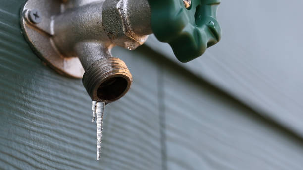 Best Sewer Line Repair  in Frankfort, IL