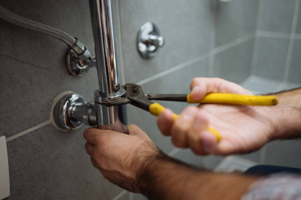 Best Drain Cleaning Services  in Frankfort, IL