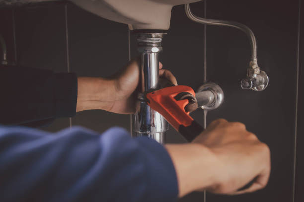 Best Sewer Line Repair  in Frankfort, IL
